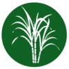 Sugar Industry